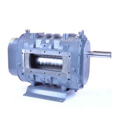 ROOTS FLO 412 Rotary Positive Displacement Blower